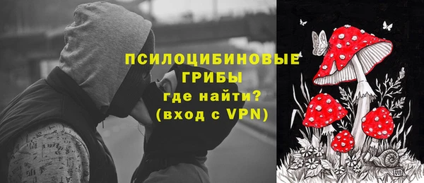 a pvp Снежногорск