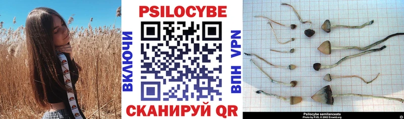 Псилоцибиновые грибы ЛСД  дарнет шоп  кракен рабочий сайт  Судак 